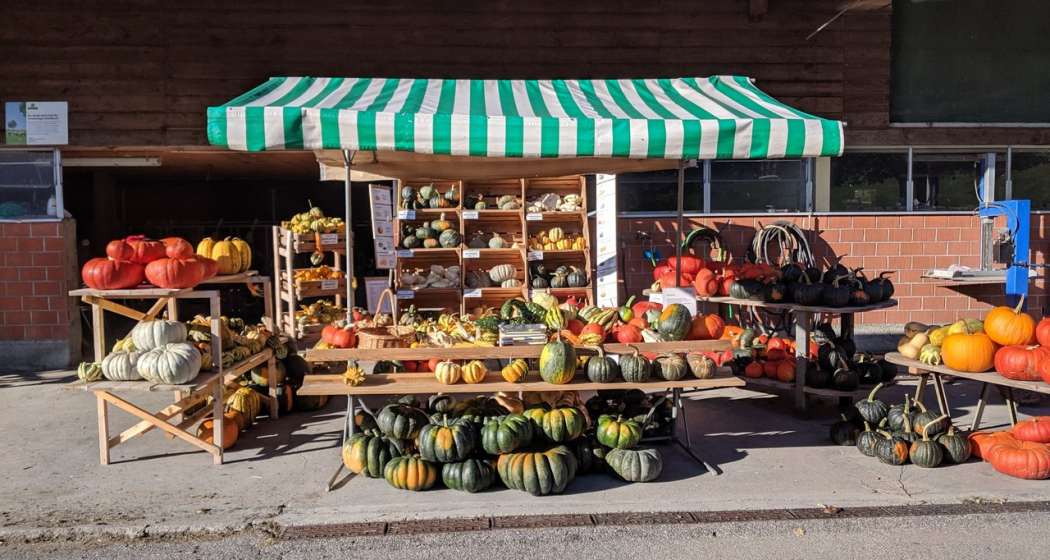 Marktstand mit Kürbissen Marktstand mit Kürbissen