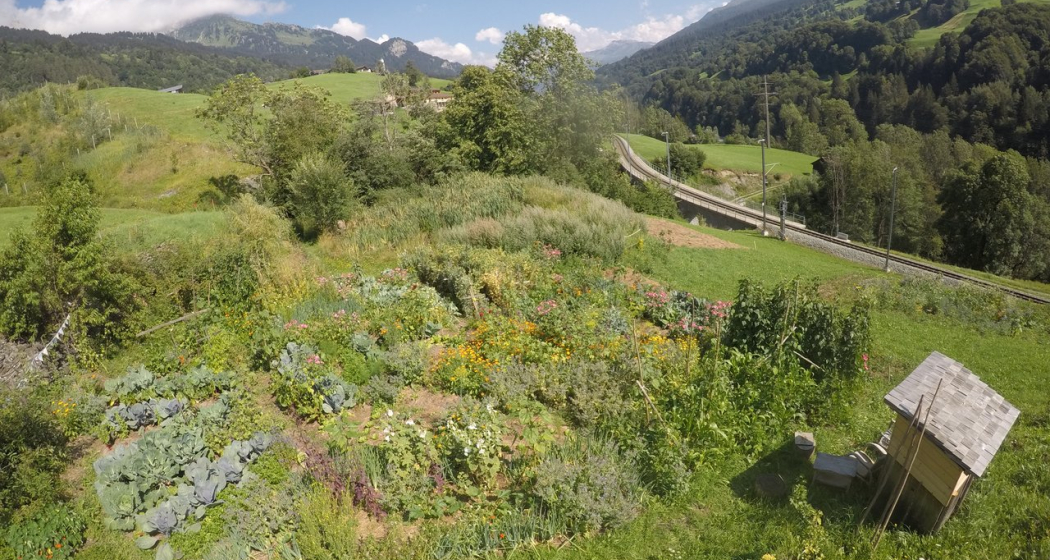 Garten Garten