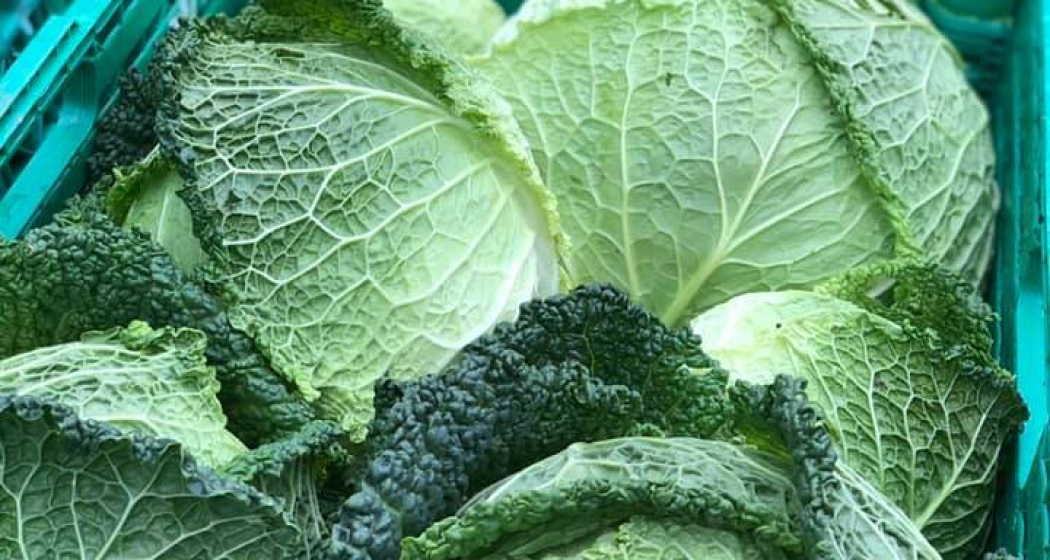 Biobarnom (oua_74678699_image)