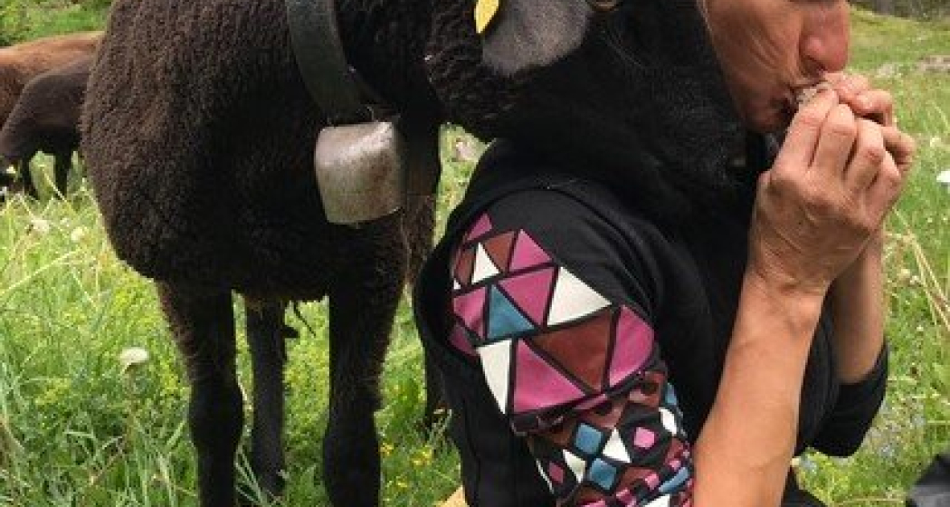 Bio Hof Hilarien Chur