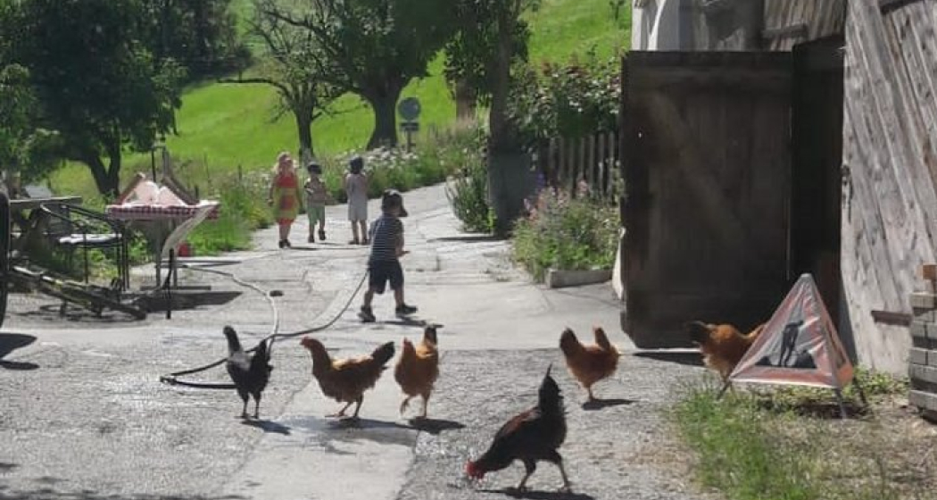 Bio Hof Hilarien Chur