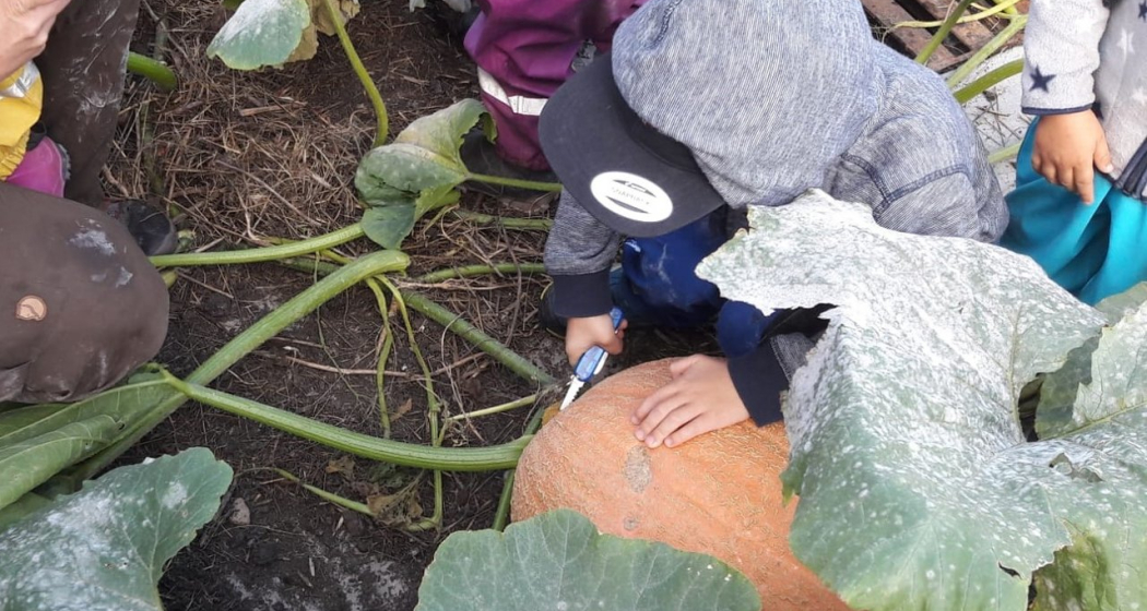 Bio Hof Hilarien Chur