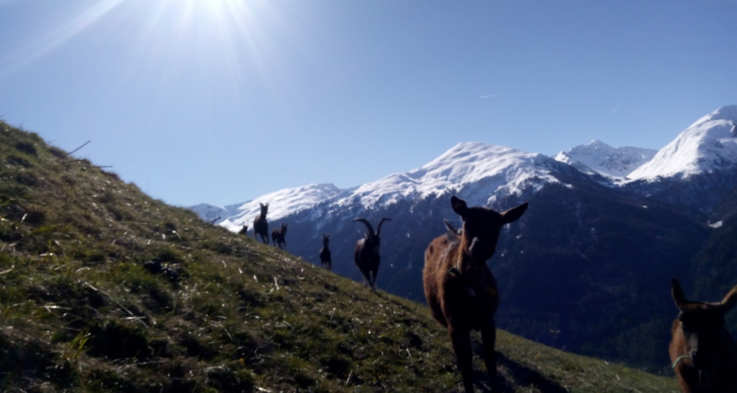 Bain Orasom (oua_74679278_image)