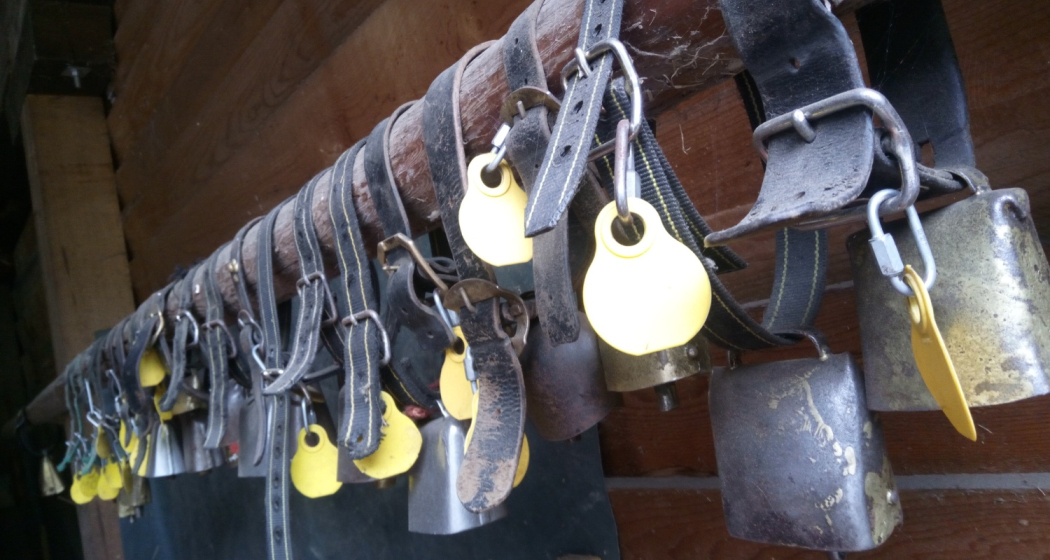 Bain Orasom (oua_74679279_image)