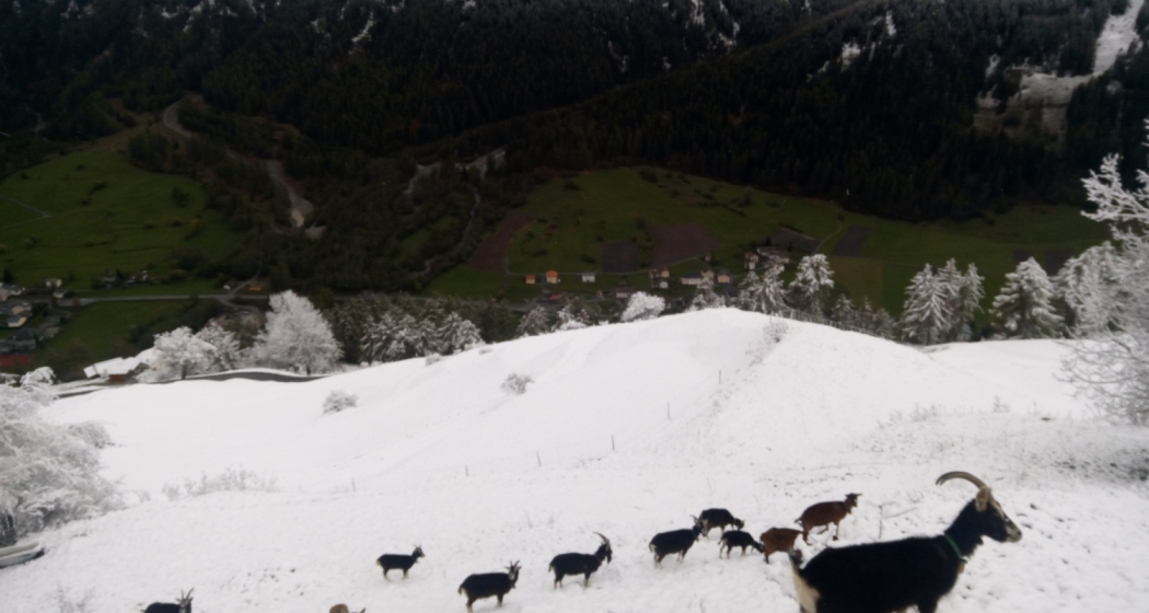 Bain Orasom (oua_74679280_image)