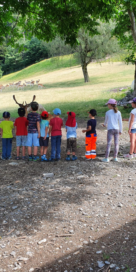 Eine Schule zu Besuch auf dem Karnerhof