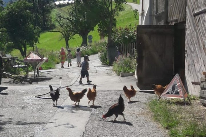 Bio Hof Hilarien Chur