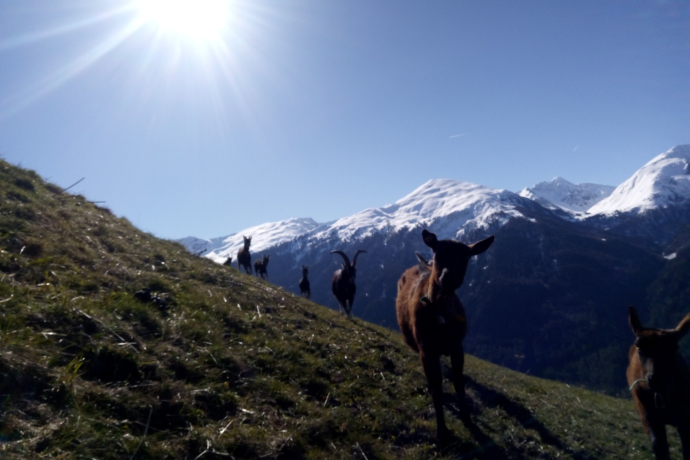 Bain Orasom (oua_74679278_image)