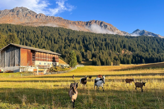 Hofansicht_Hof_Lajet