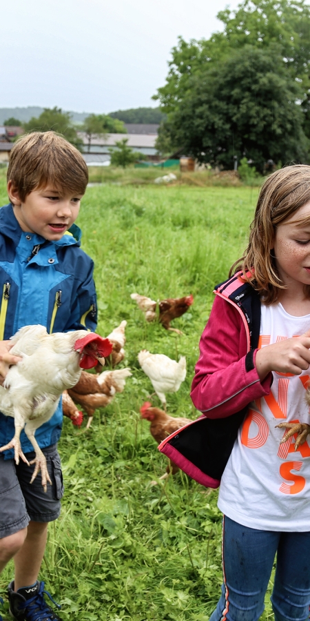 Junge und Mädchen tragen Hühner im Arm. 