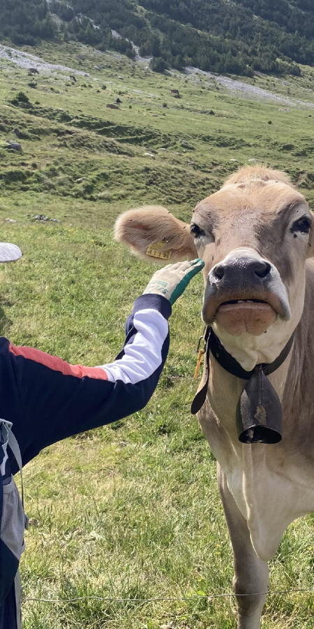 Schule auf der Alp
