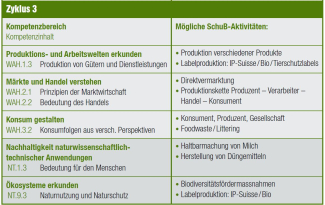 Lehrplan 21, Zyklus 3
