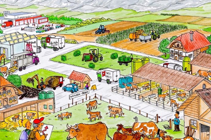 Shop für Anschauungs- und Lernmaterial Schweizer Bauer